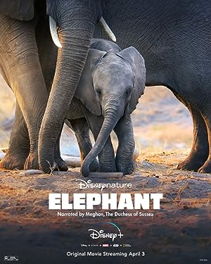 Cover image of the movie Elephant (2020)