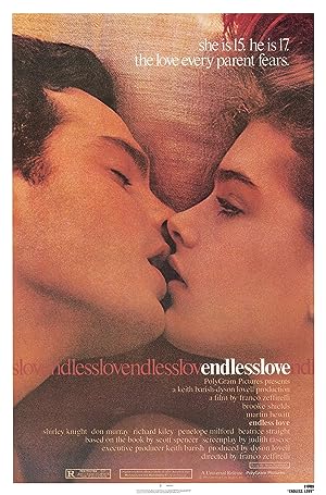 Cover image of the movie Endless Love (1981)