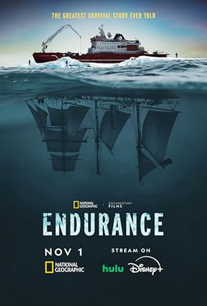 Cover image of the movie Endurance (2024)