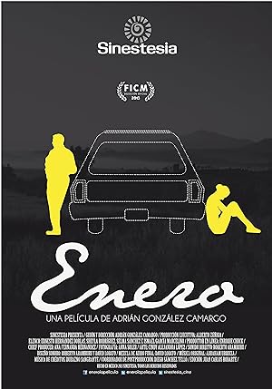 Cover image of the movie Enero (2015)