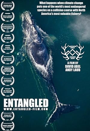 Cover image of the movie Entangled: The Race to Save Right Whales from Extinction (2020)