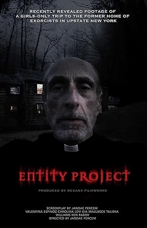 Cover image of the movie Entity Project (2019)