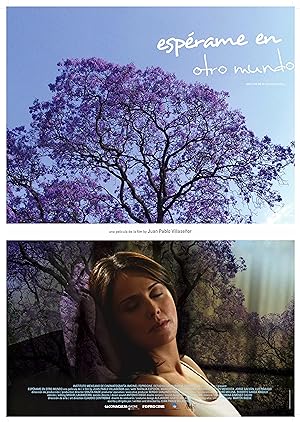 Cover image of the movie Espérame en otro mundo (2007)
