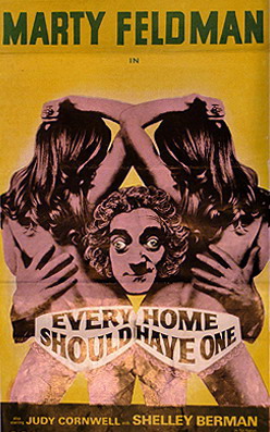 Cover image of the movie Every Home Should Have One (1970)
