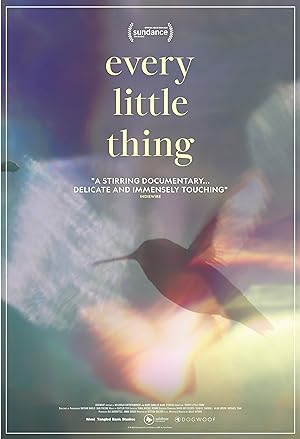 Cover image of the movie Every Little Thing (2024)