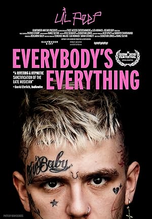 Cover image of the movie Everybody's Everything (2019)