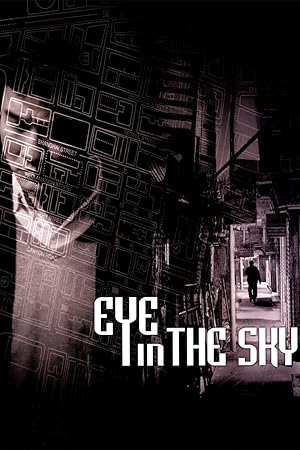 Cover image of the movie Eye in the Sky (2007)