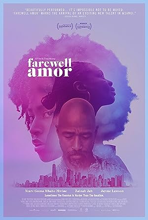 Cover image of the movie Farewell Amor (2020)