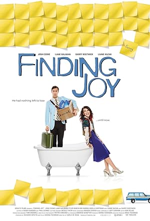 Cover image of the movie Finding Joy (2013)