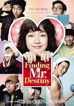 Cover image of the movie Finding Mr. Destiny (2010)