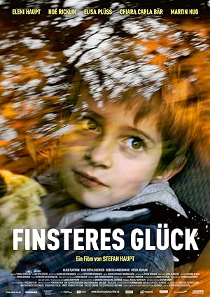 Cover image of the movie Finsteres Glück (2016)