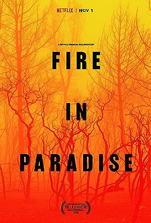 Cover image of the movie Fire in Paradise (2019)