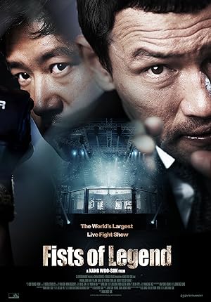 Cover image of the movie Fists of Legend (2013)