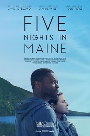 Cover image of the movie Five Nights in Maine (2015)
