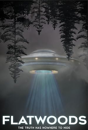 Cover image of the movie Flatwoods (2022)
