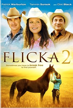 Cover image of the movie Flicka 2 (2010)