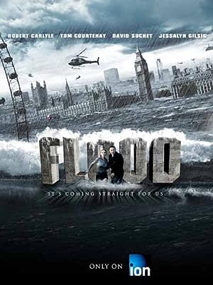 Cover image of the movie Flood (2007)