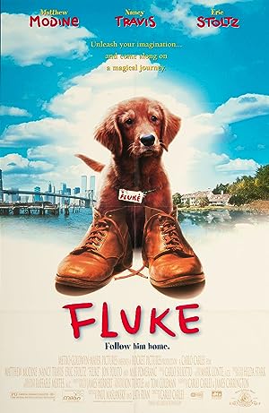 Cover image of the movie Fluke (1995)
