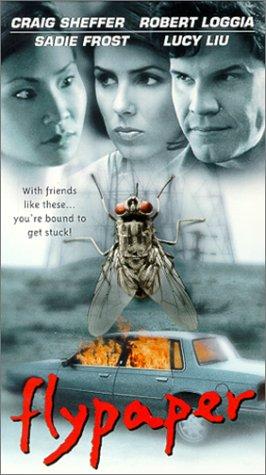 Cover image of the movie Flypaper (1999)
