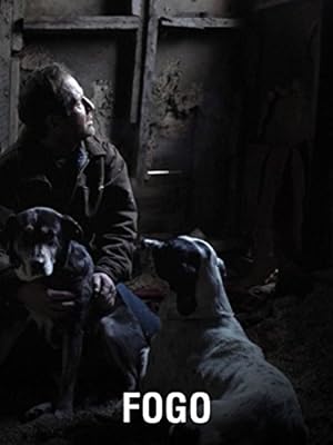 Cover image of the movie Fogo (2012)