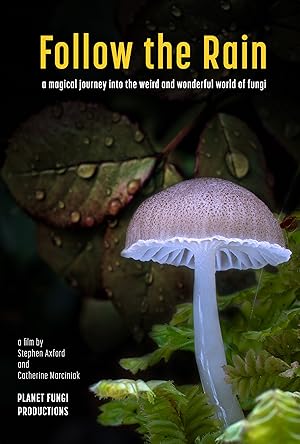 Cover image of the movie Follow the Rain (2024)