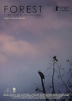 Cover image of the movie Forest: I See You Everywhere (2021)