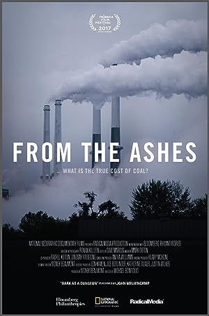 Cover image of the movie From the Ashes (2017)