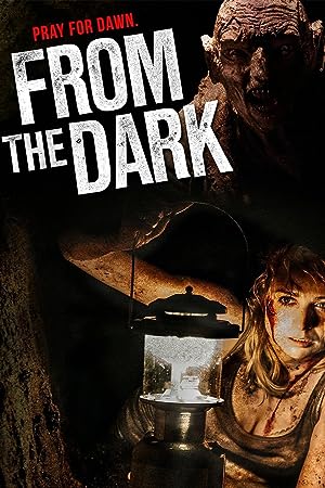 Cover image of the movie From the Dark (2014)