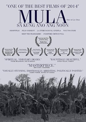 Cover image of the movie From What Is Before (2014)