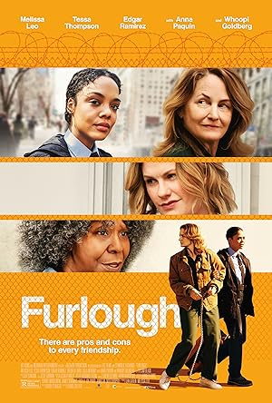 Cover image of the movie Furlough (2018)