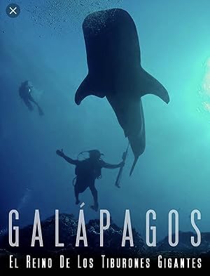 Cover image of the movie Galapagos: Realm of Giant Sharks (2012)