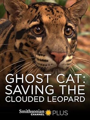 Cover image of the movie Ghost Cat: Saving the Clouded Leopard (2007)