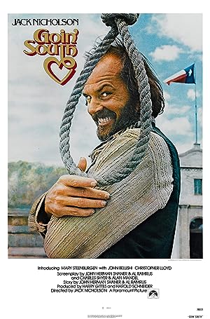 Cover image of the movie Goin' South (1978)