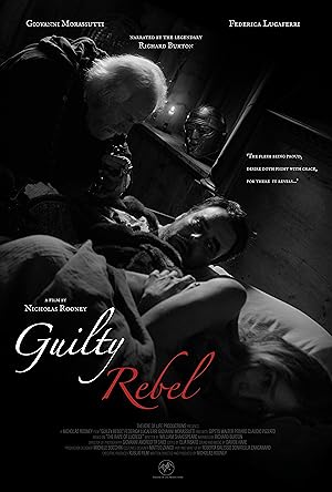 Cover image of the movie Guilty Rebel (2024)