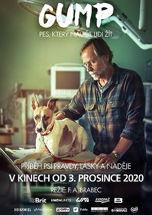 Cover image of the movie Gump - pes, který naucil lidi zít (2021)