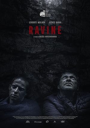 Cover image of the movie Hasadék (2021)