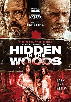 Cover image of the movie Hidden in the Woods (2014)