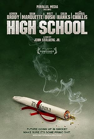 Cover image of the movie High School (2010)