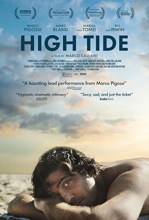 Cover image of the movie High Tide (2024)