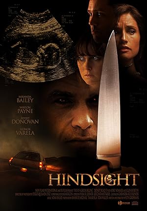 Cover image of the movie Hindsight (2008)