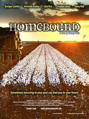 Cover image of the movie Homebound (2013)