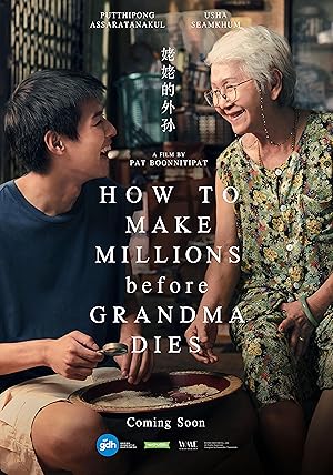 Cover image of the movie How to Make Millions Before Grandma Dies (2024)