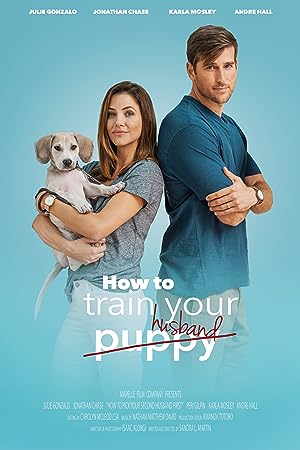 Cover image of the movie How to Train Your Husband or (How to Pick Your Second Husband First) (2018)