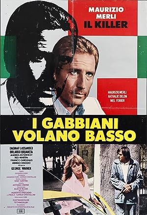 Cover image of the movie I gabbiani volano basso (1978)