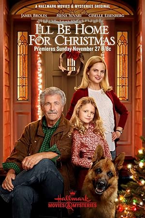 Cover image of the movie I'll Be Home for Christmas (2016)