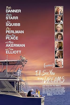 Cover image of the movie I'll See You in My Dreams (2015)
