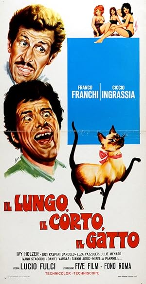 Cover image of the movie Il lungo, il corto, il gatto (1967)