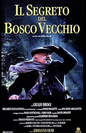 Cover image of the movie Il segreto del bosco vecchio (1993)