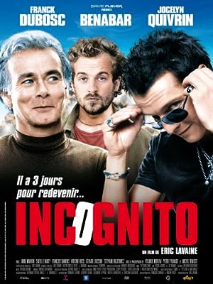 Cover image of the movie Incognito (2009)