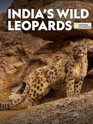 Cover image of the movie India's Wild Leopards (2020)
